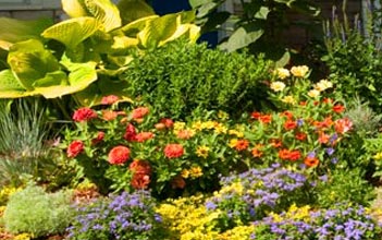 Garden courtyard